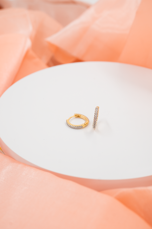 Diamonds Studded Hoop Earrings