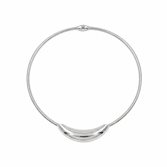 Silver Capsule Choker